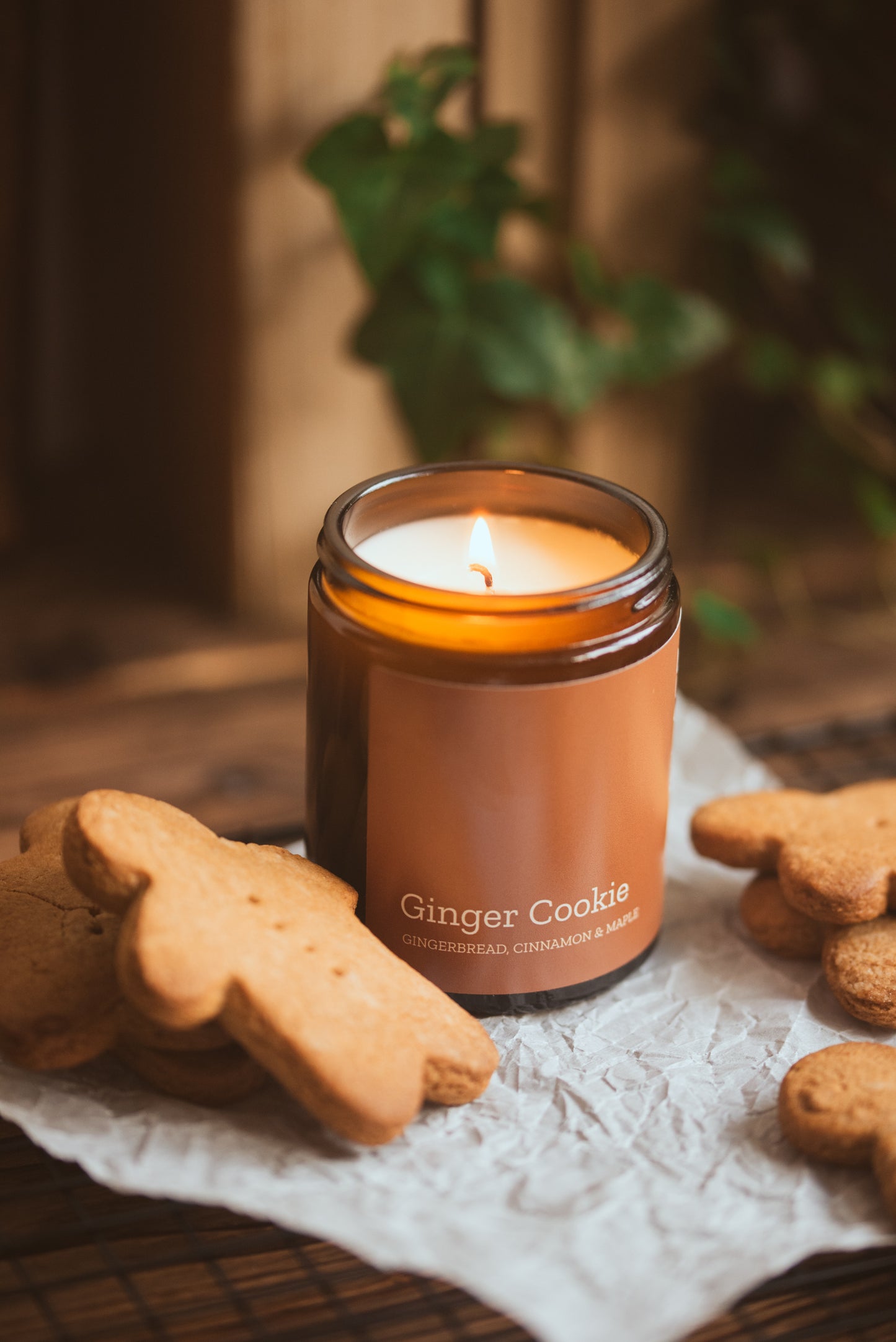 GINGER COOKIE - Gingerbread Toxin Free Scented Soy Candle